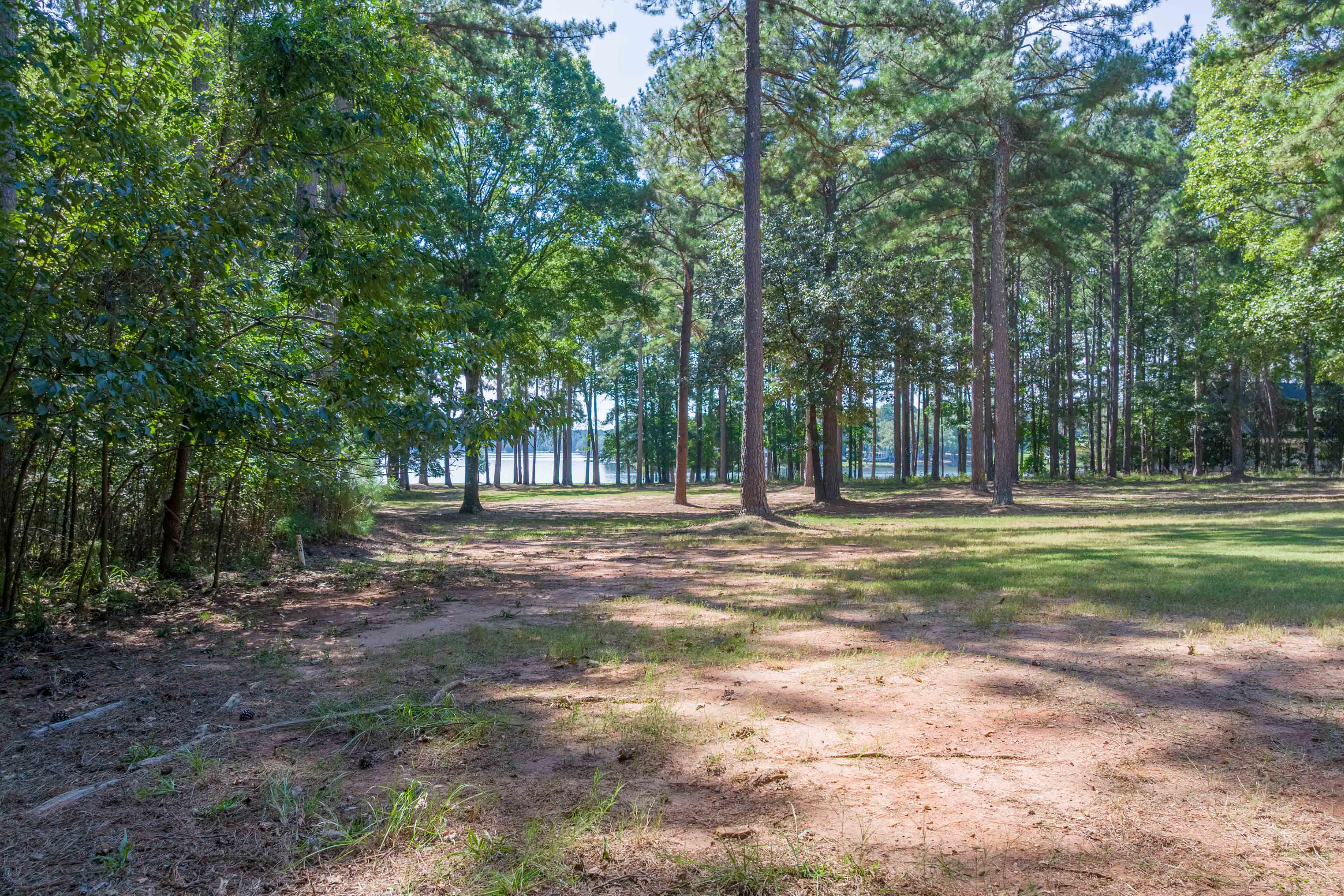 132 Porterfield Drive image 10